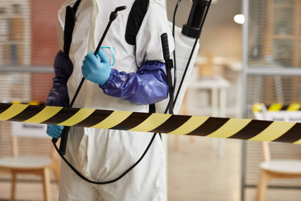 Professional Hoarding Cleanup technician working in Roslyn Heights, NY